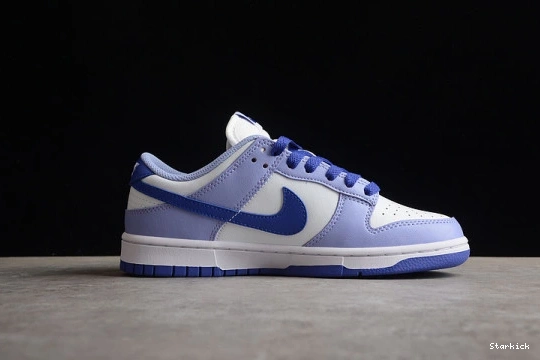 Blueberry Nike Dunk DZ4456-100 (GS) Low 0122